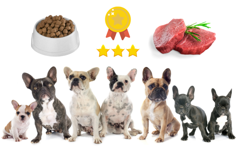 Top 6 Dog Foods for French Bulldog Puppies - Rocky Kanaka