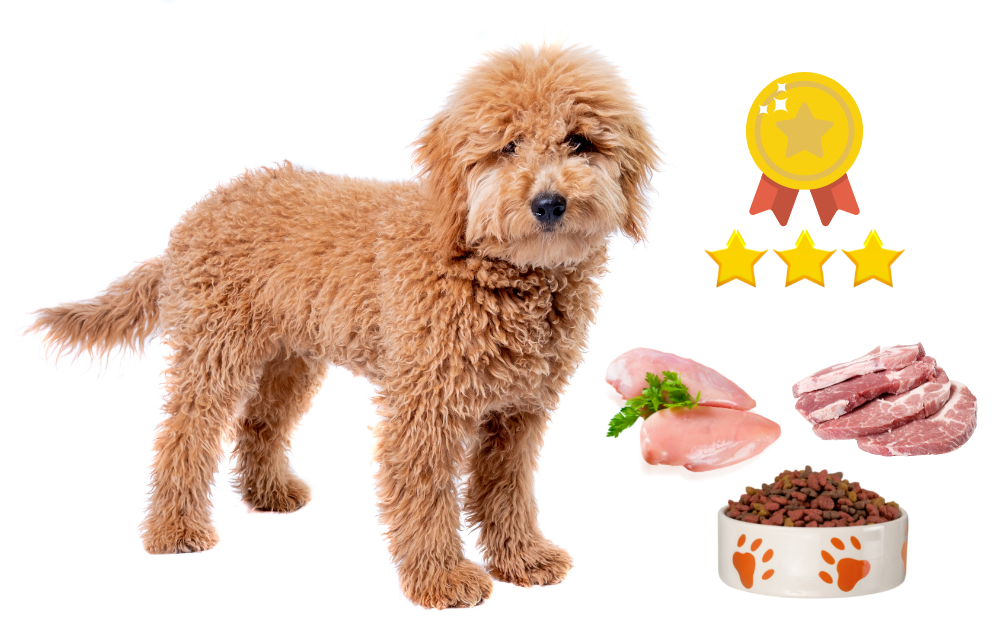 best dog food for a goldendoodle
