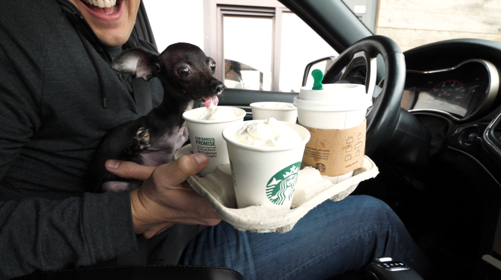 Special Needs Dog Gets Her First Puppuccino Ever!