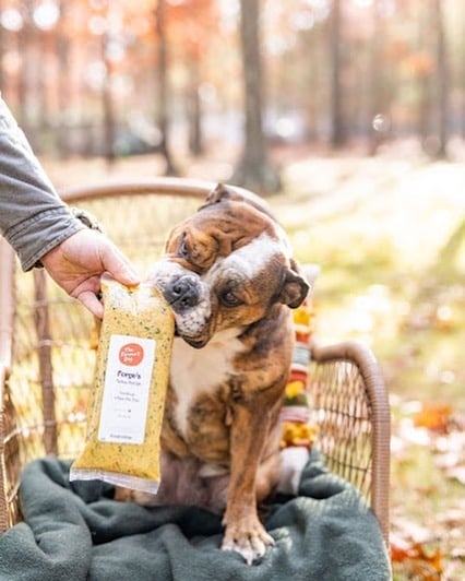 All-Time Best Dog Food Brands for Boxers