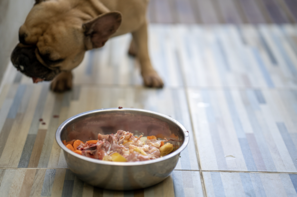Raw Dog Food Recipes