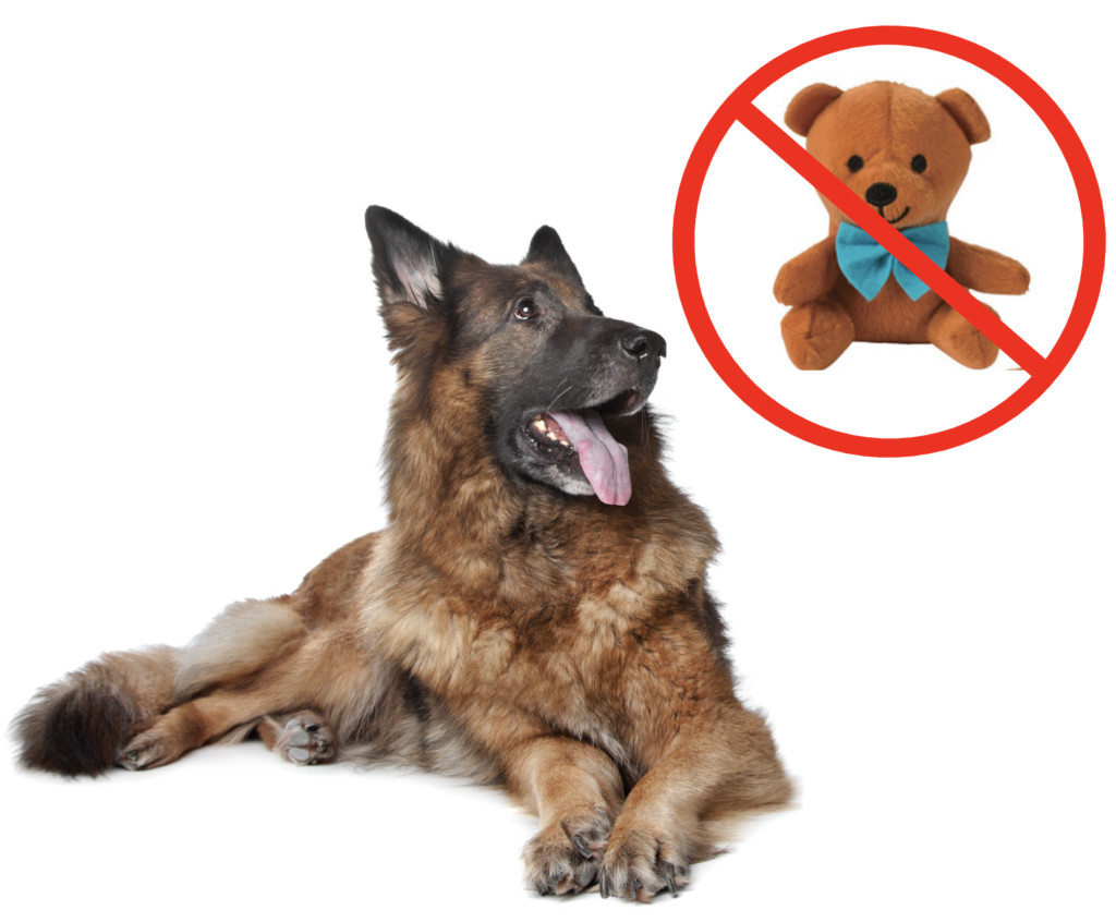 Top 10 Toys For German Shepherds