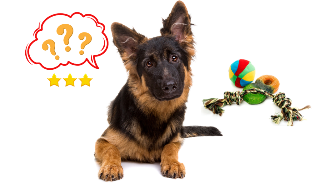 The 20 Best Durable Toys for German Shepherds