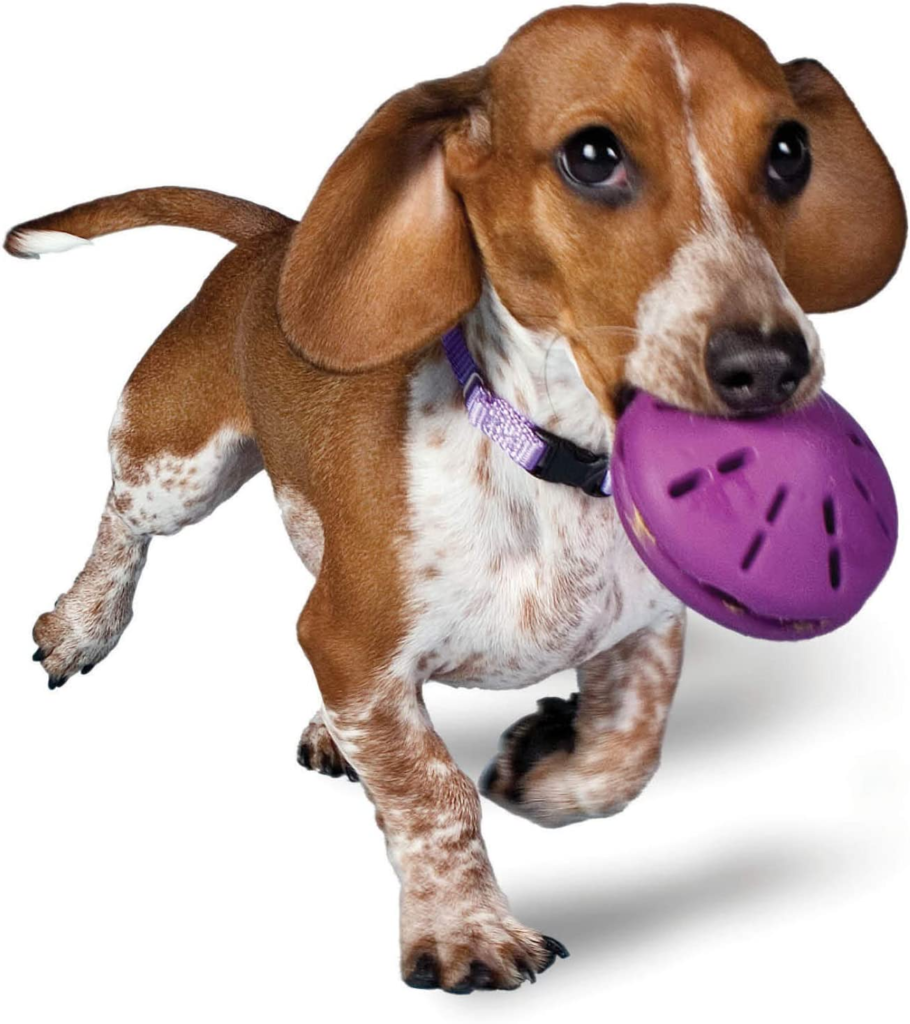 Om Nom Nom' Small Rubber Dog Chewing 【Toy】 for Treat Dispensing