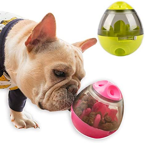 The 13 Best Toys for French Bulldogs for Breathable, Drool-Proof Fun