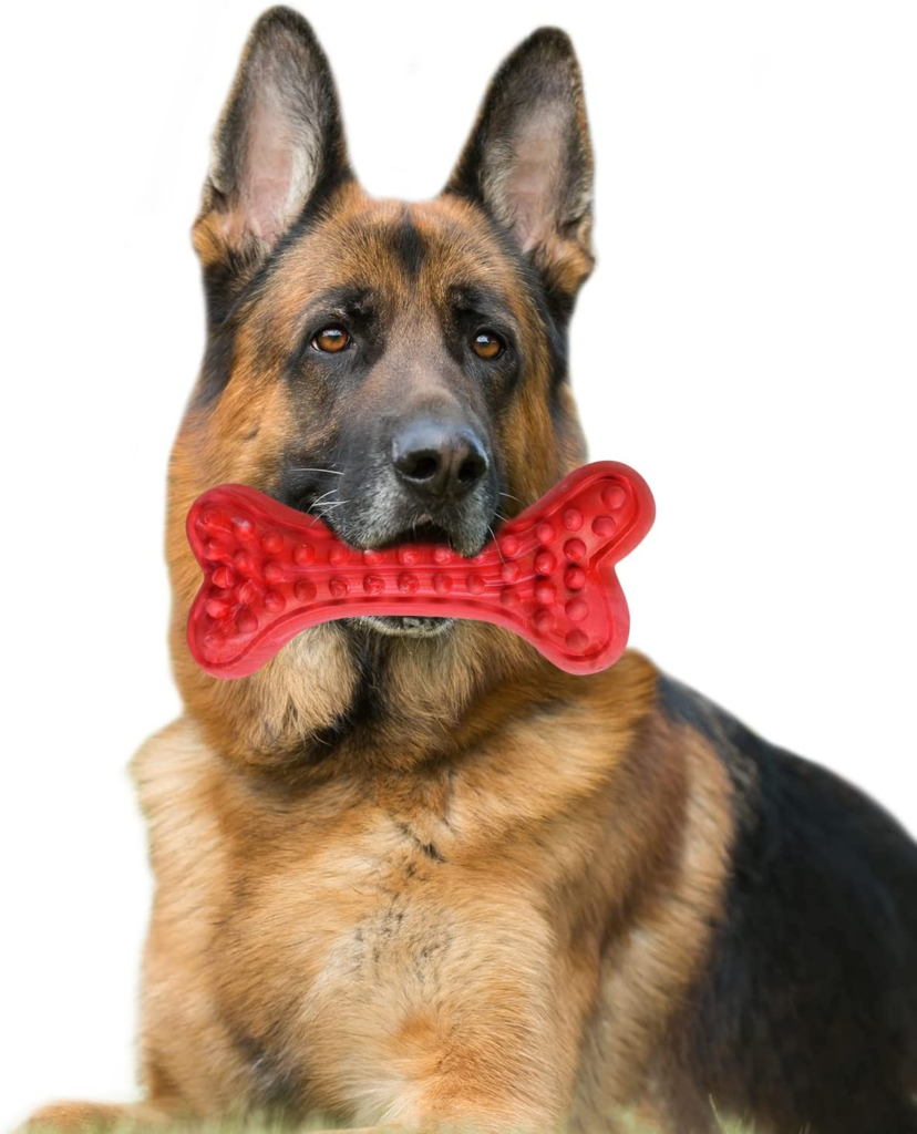 German shepherd with a toy in mouth