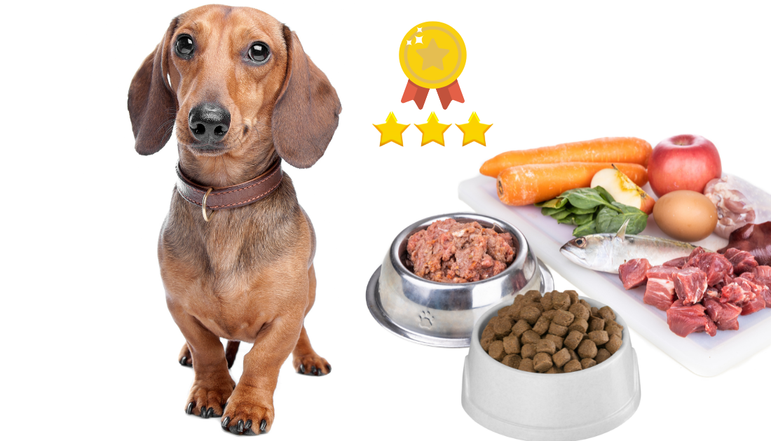 what is the best natural dachshund chewable food