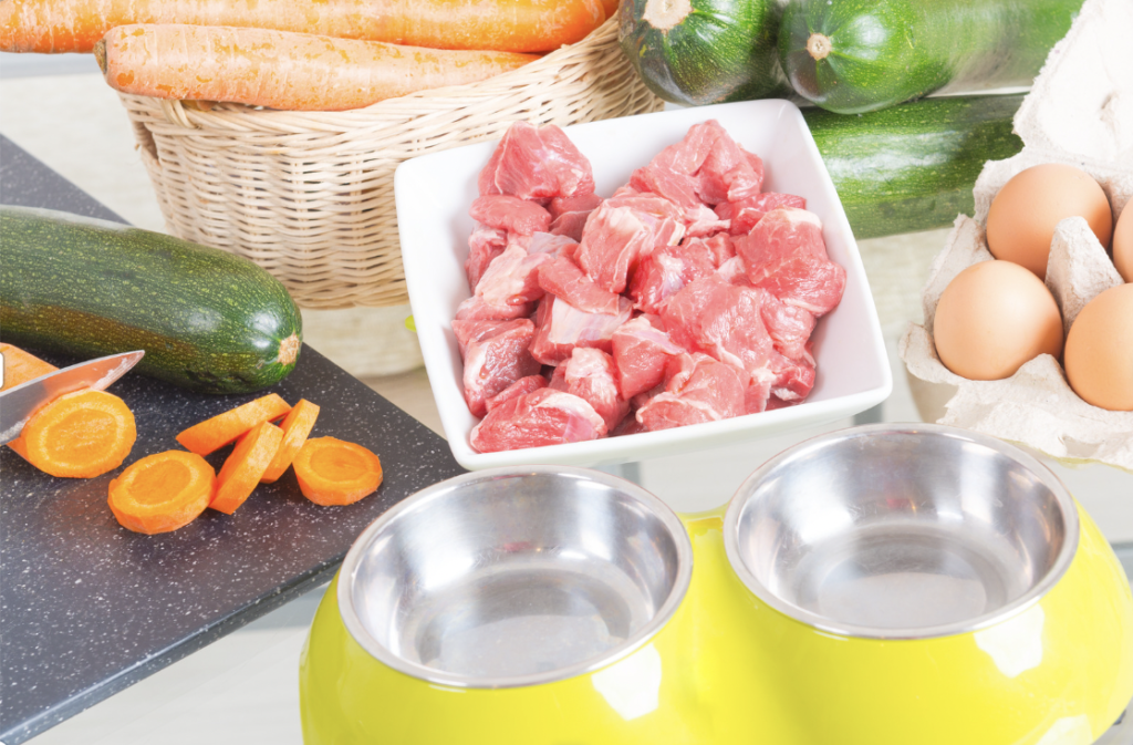 Easy Recipes for Homemade Dog Food