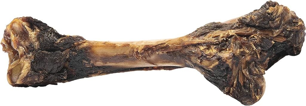 Kangaroo Femur Dog Bone Chew