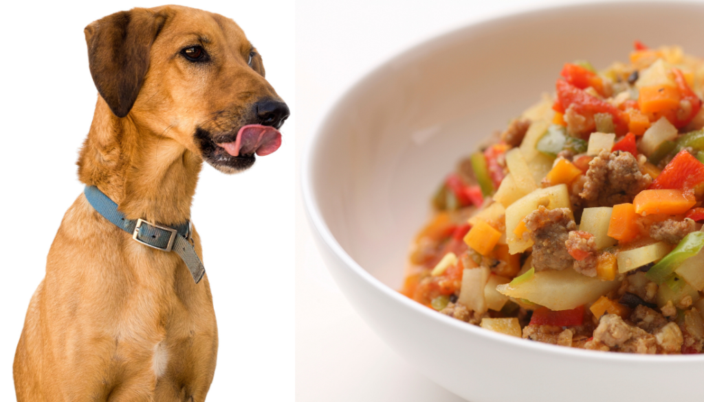 recipes for homemade dog food vet approved