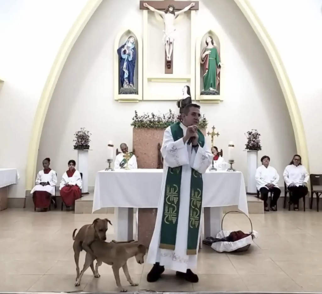 Doggy Style Sermon: Two Dogs Get In On During Mass