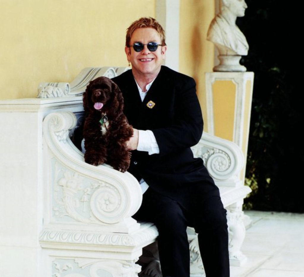 Elton John's Heartbreaking Farewell to Loyal Companion