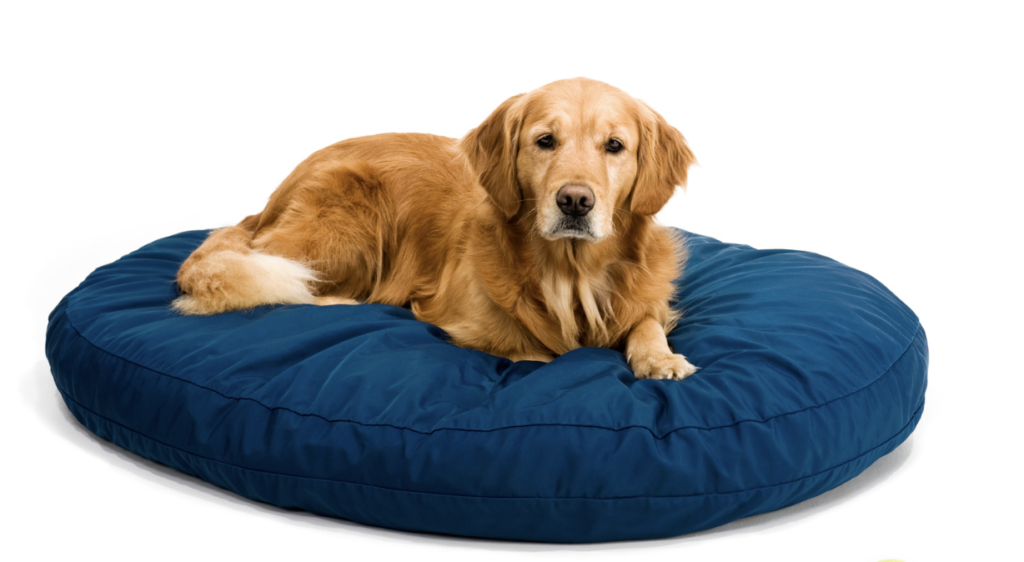 golden retriever on a dog bed