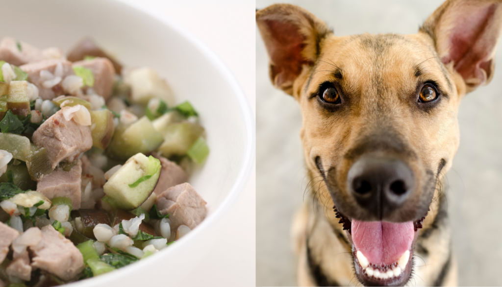 Home Cooked Meals for Dogs