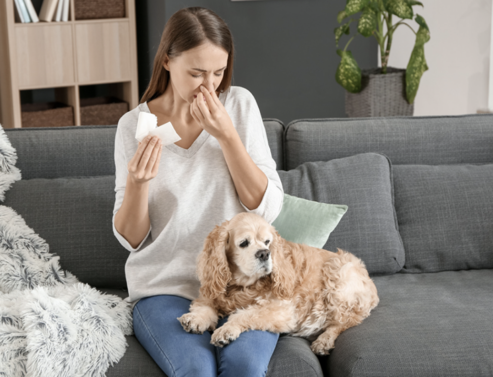 Dog Allergies in Humans