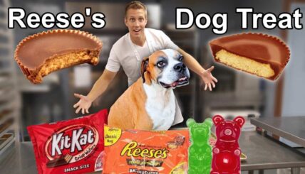 Recreating HALLOWEEN Candy for Dogs that they can eat! (DIY Dog friendly halloween treats)