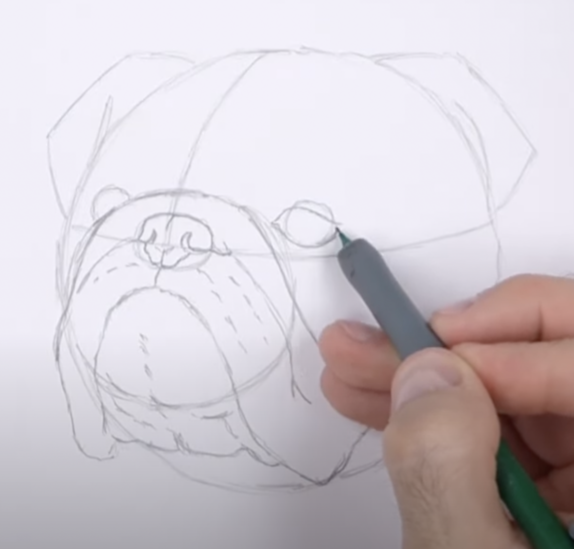 How to Draw a Bulldog Face