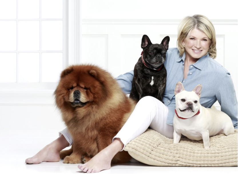 Martha Stewart and her dogs Celebrates National Take Your Dog To Work Day