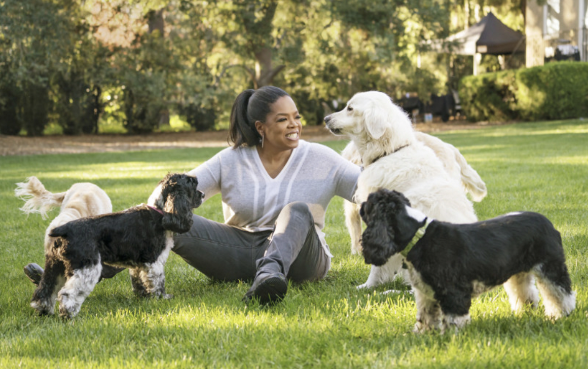Oprah Celebrates Take Your Dog To Work Day