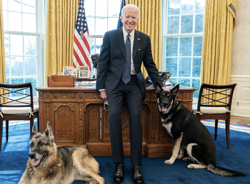 Joe biden celebrates Take Your Dog To Work Day