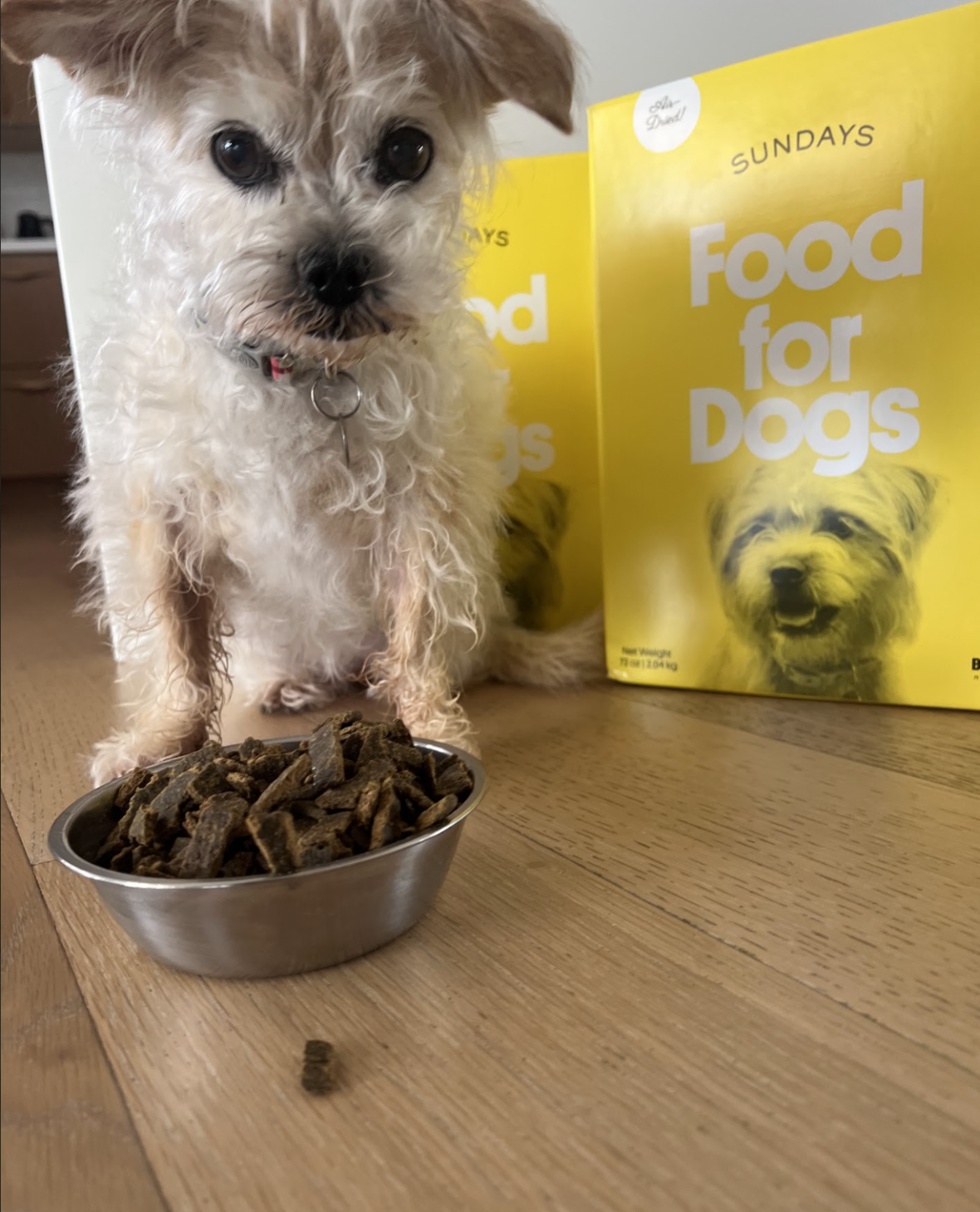 Sundays for Dogs' Dog Food Review