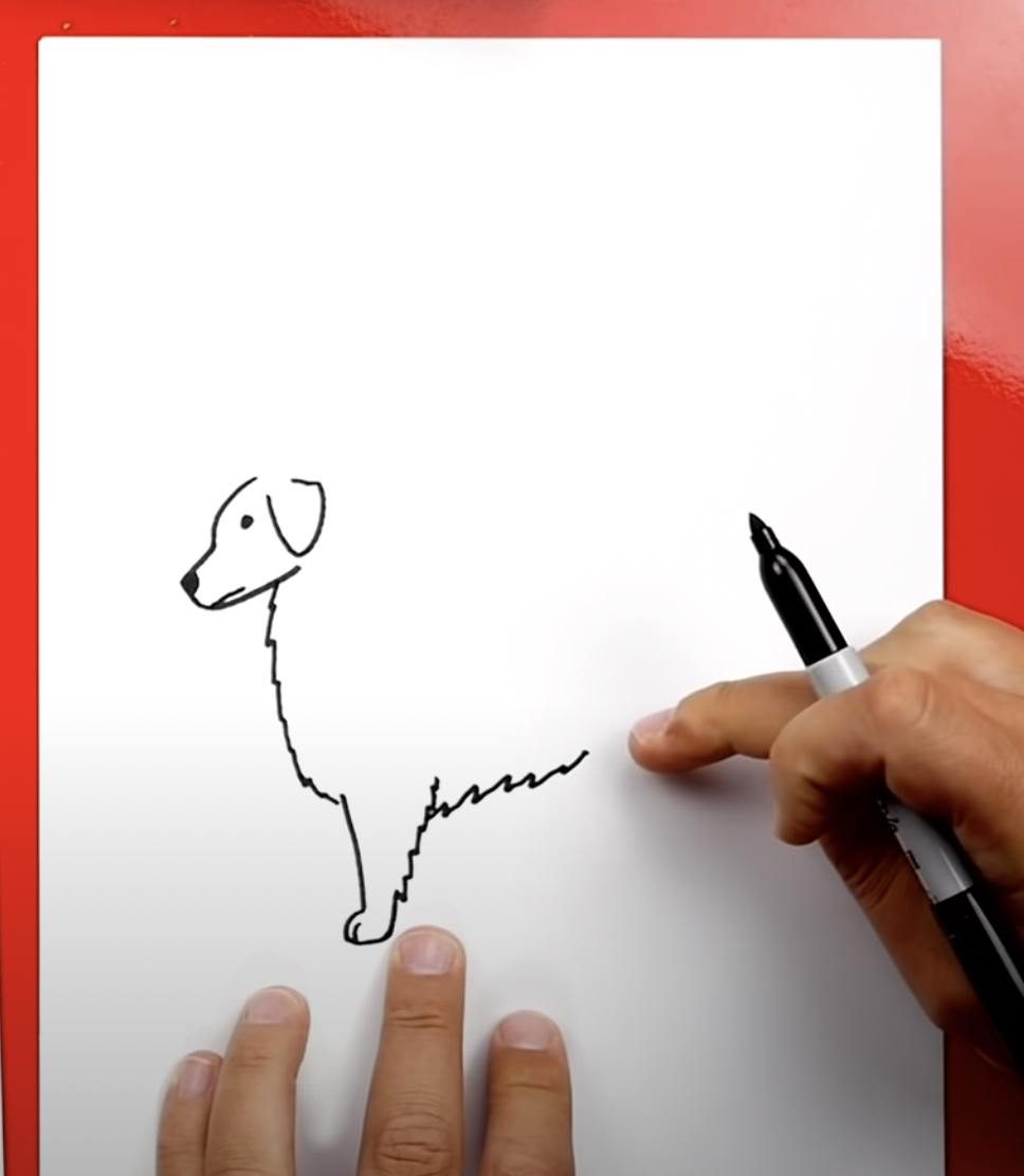 How to Draw A Golden Retriever