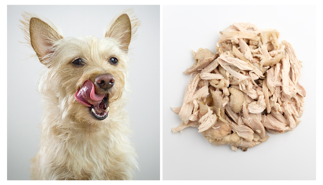 Boiled Chicken For Your Dog