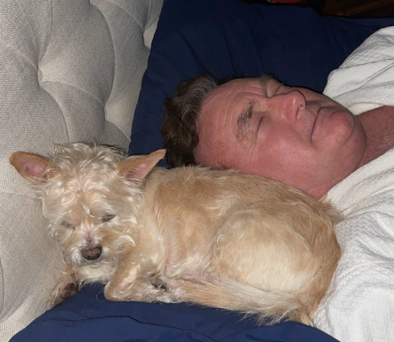 Why Do Dogs Sleep with Their Bum Facing You? Unlocking This Strange