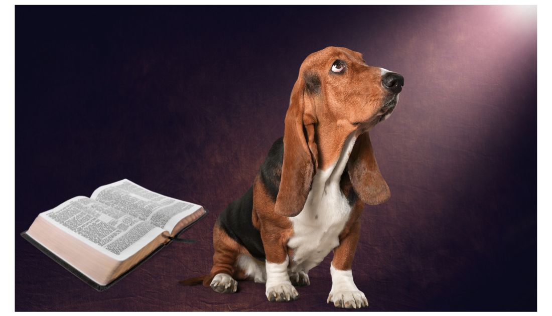 60 Biblical Dog Names A Divine Naming Guide for Your Canine Companion