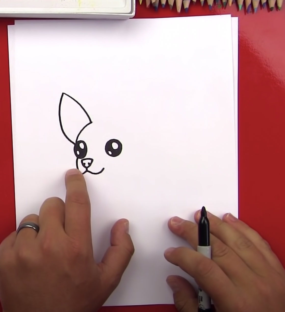 Drawing A Chihuahua