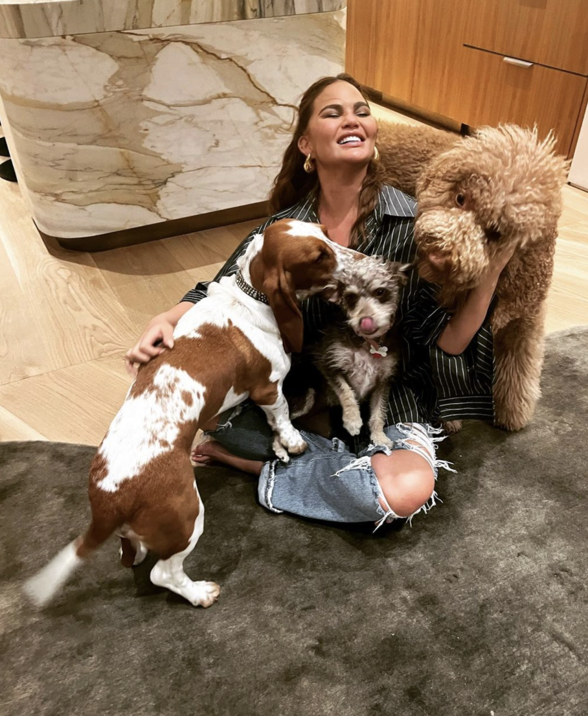 Chrissy Teigen and her dogs