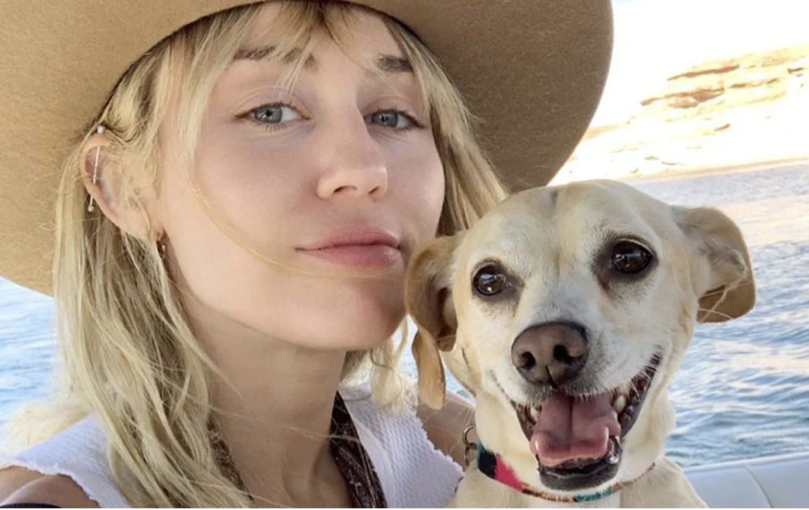 Celebrities Who Love National Puppy Day - Mily Cyrus