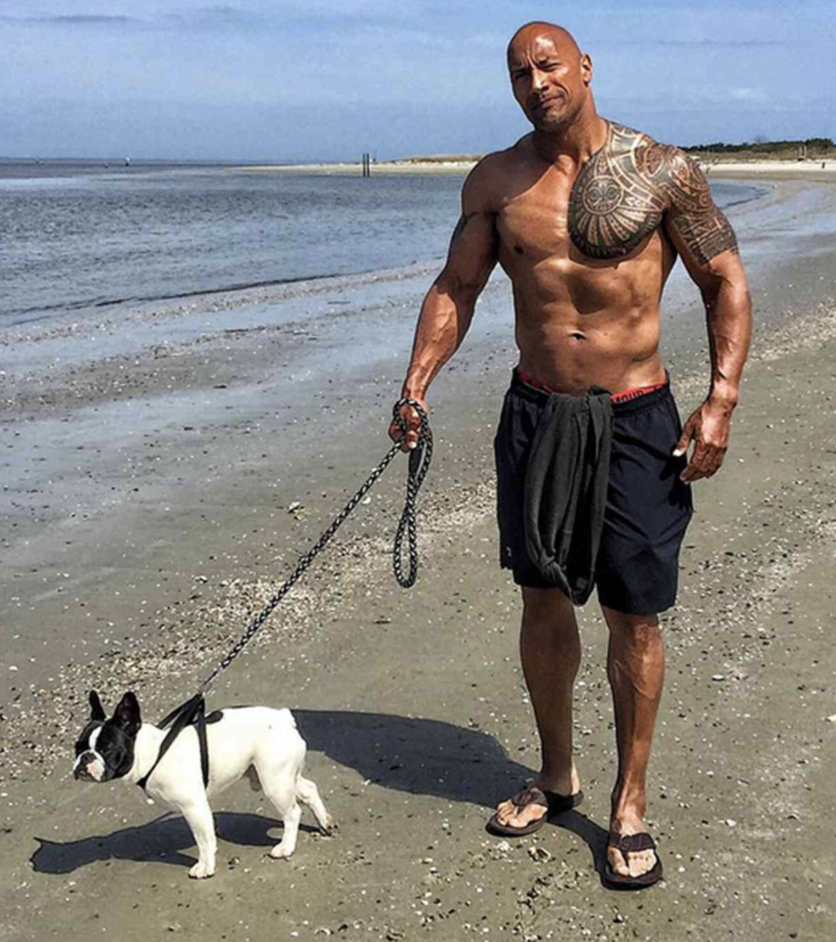 The Rock and his dog