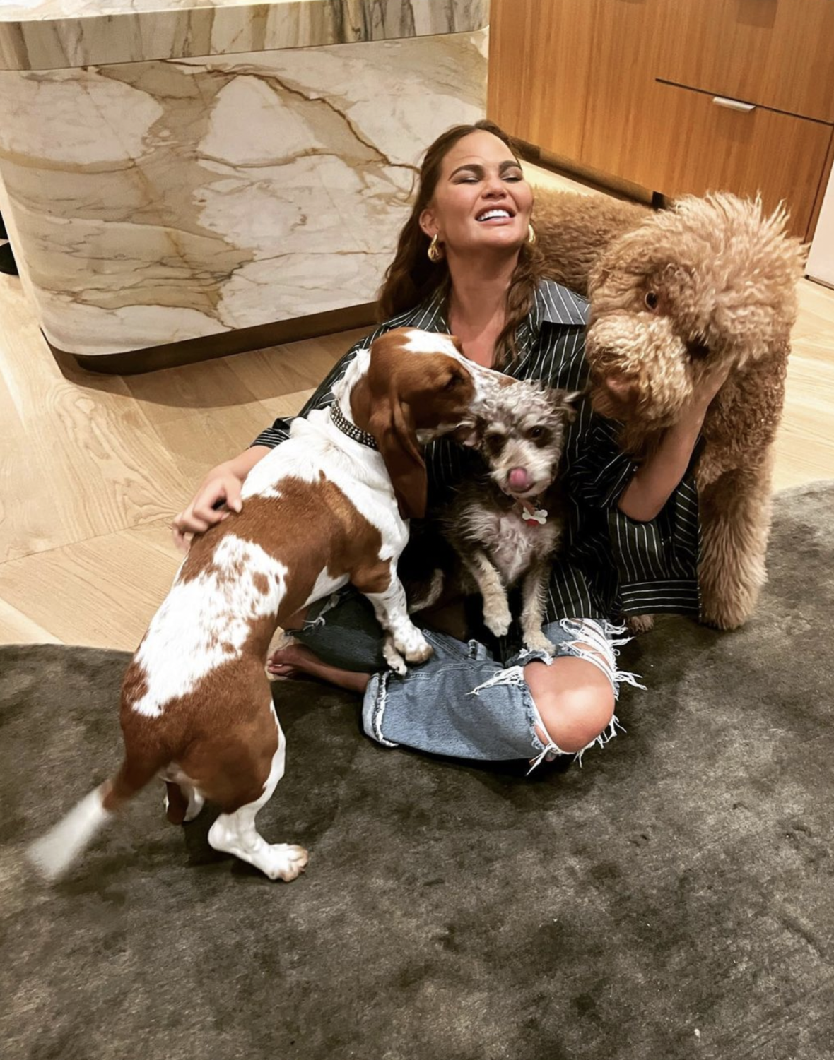 A-List Celebs Are Completely Dog Obsessed! - Chrissy Teigen