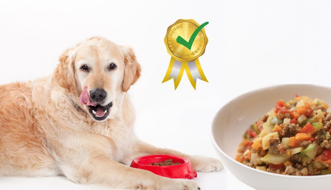 Homemade Dog Food for Dogs with Kidney Disease