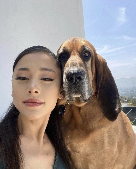 A-List Celebs Are Completely Dog Obsessed! -Ariana Grande