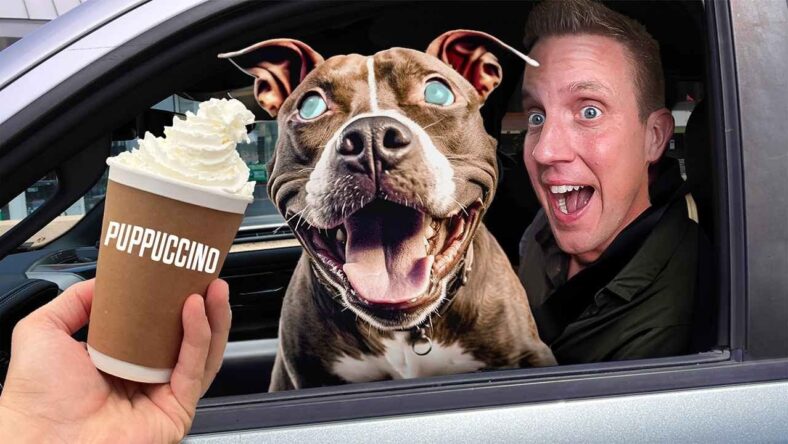 Taking a Blind Shelter Dog to get a Puppuccino
