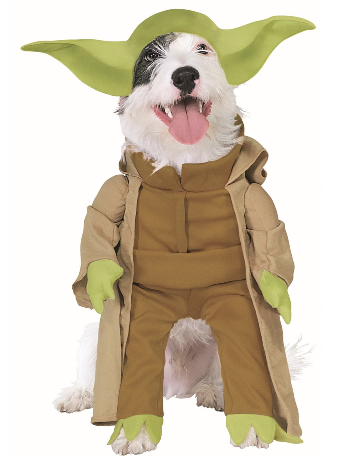 dog in star wars costumes: Disney dog names