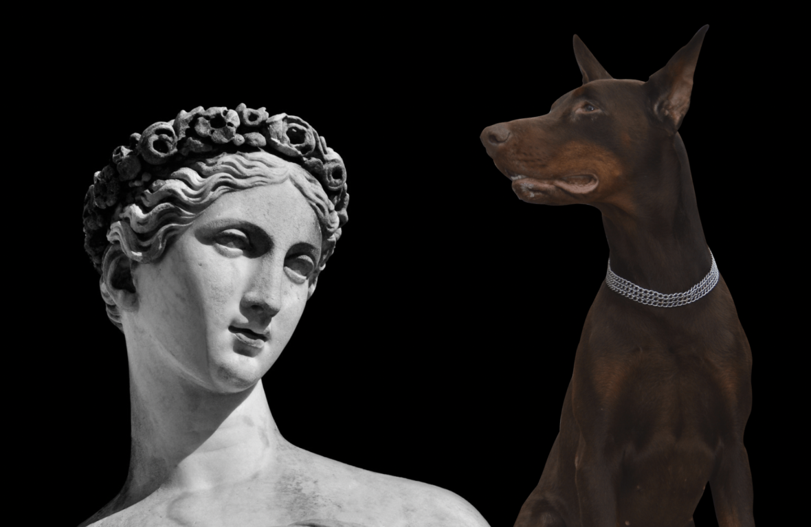 Mythological Dog Names: Roman