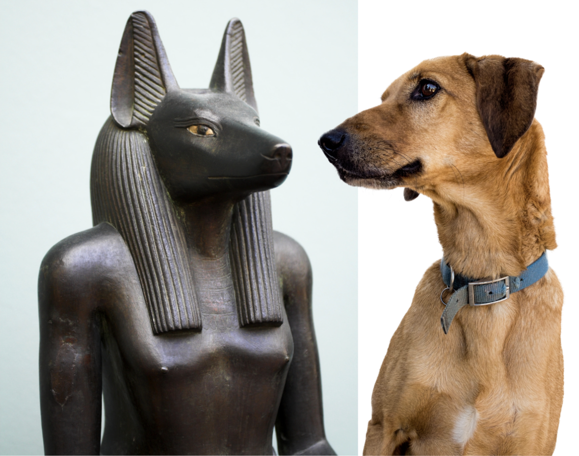 Egyptian Mythology Dog Names 