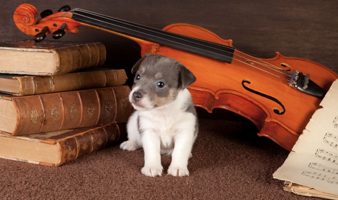 Classical music dog name