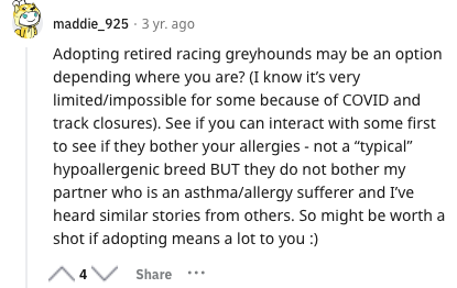Are Greyhounds Hypoallergenic?