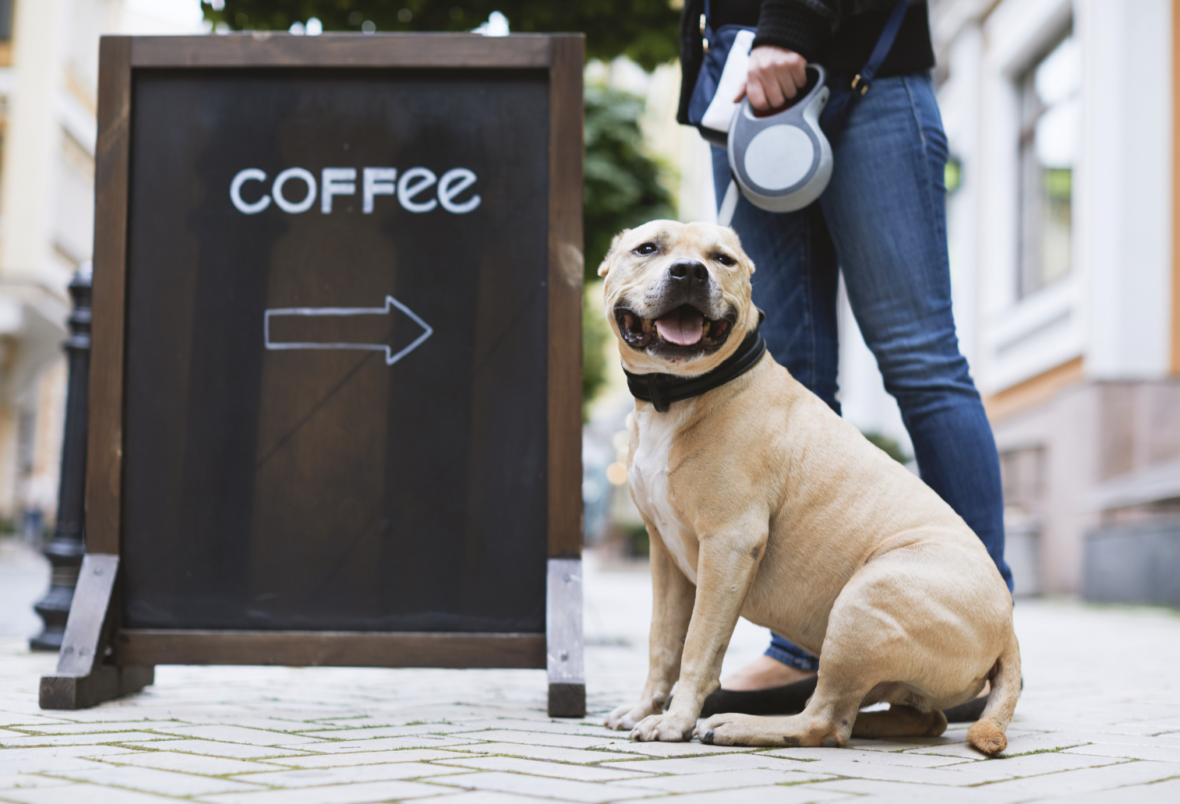 Coffee Names for Dogs