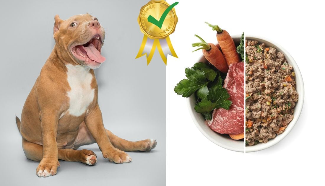 Bull terrier raw diet best sale