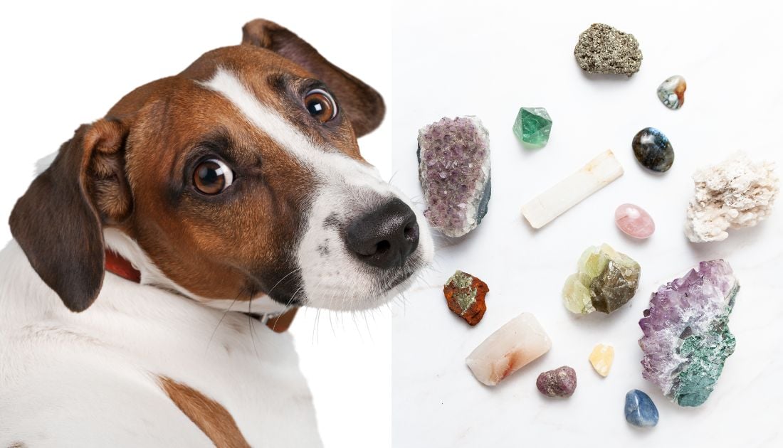 Crystal Names for Dogs