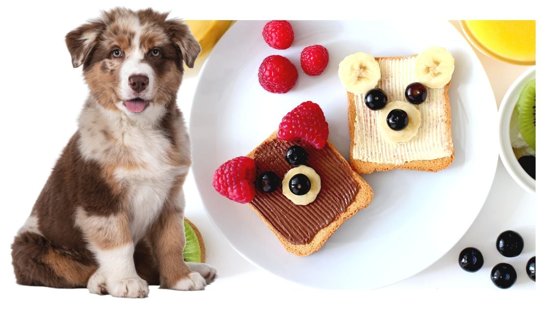 160 Food Names For Dogs A Tasty Selection for Your Canine