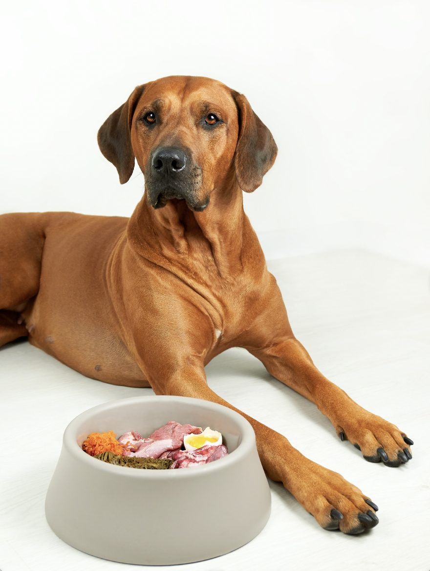 80-10-10 Raw Dog Food Diet
