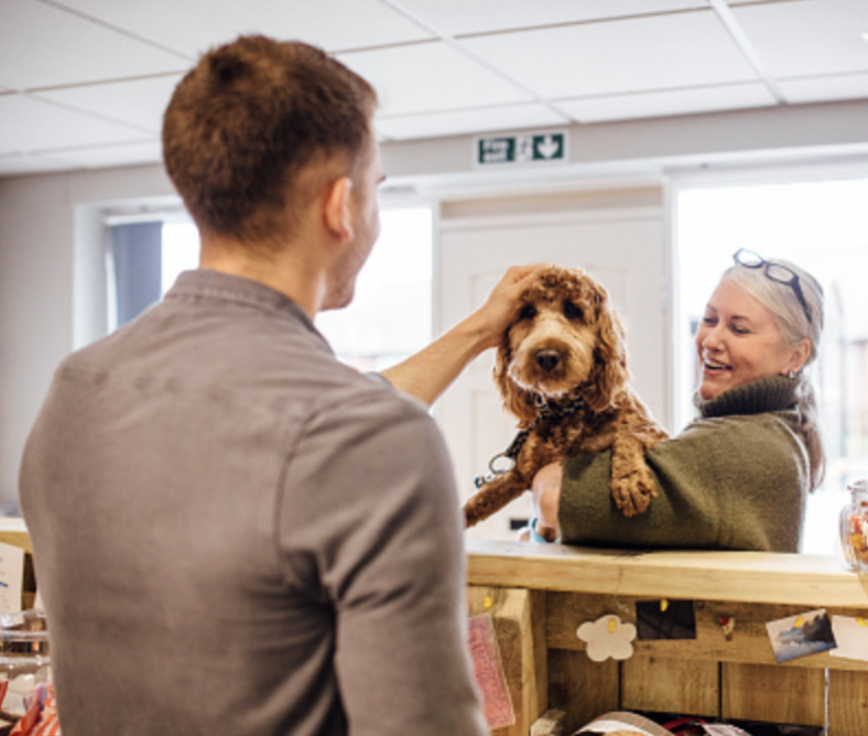 How To Find Animal Shelter Jobs Near Me Volunteer + Paid Rocky Kanaka