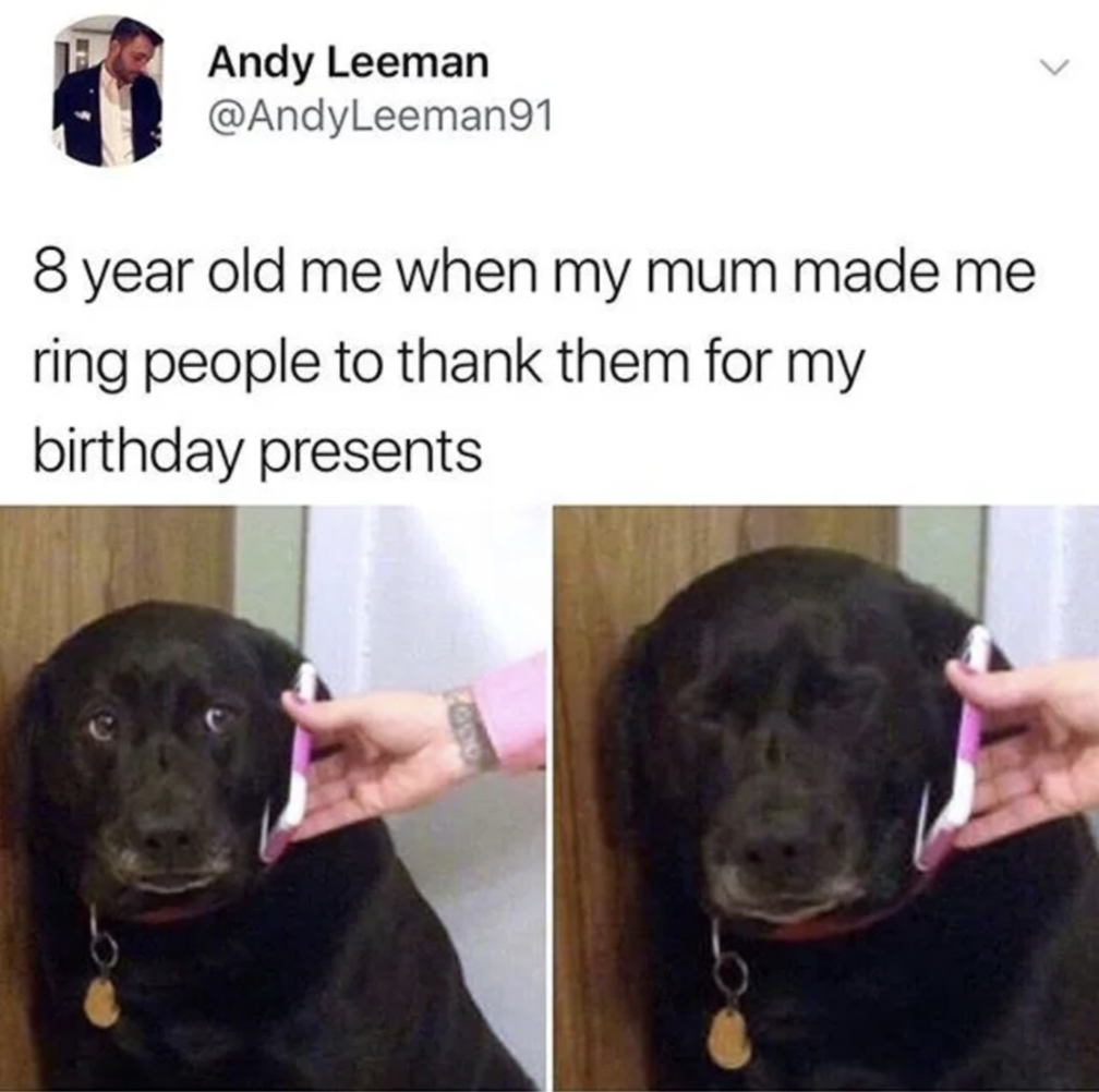 Dog Birthday Meme