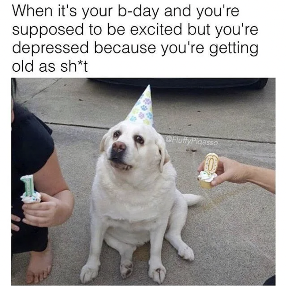  Dog Birthday Meme